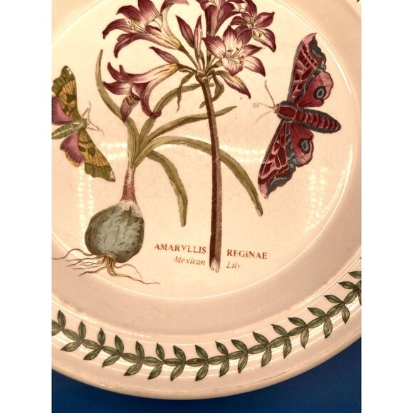 Portmeirion Botanic Garden Amaryllis Reginae Mexican Lily Dinner Plate Pre Owned - Picture 4 of 5